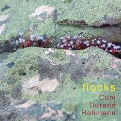 Cover of Flocks