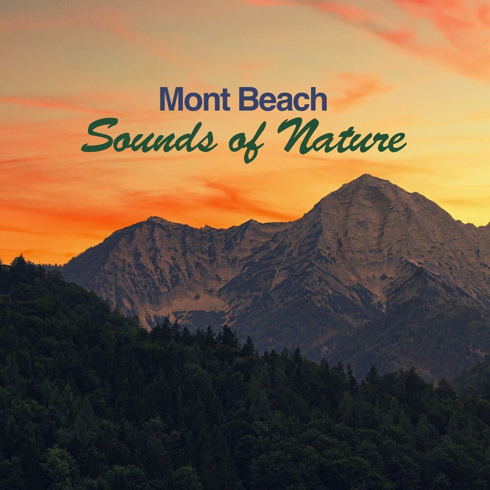 Picture of Sounds of Nature
