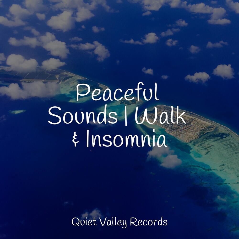 Picture of Peaceful Sounds | Walk & Insomnia