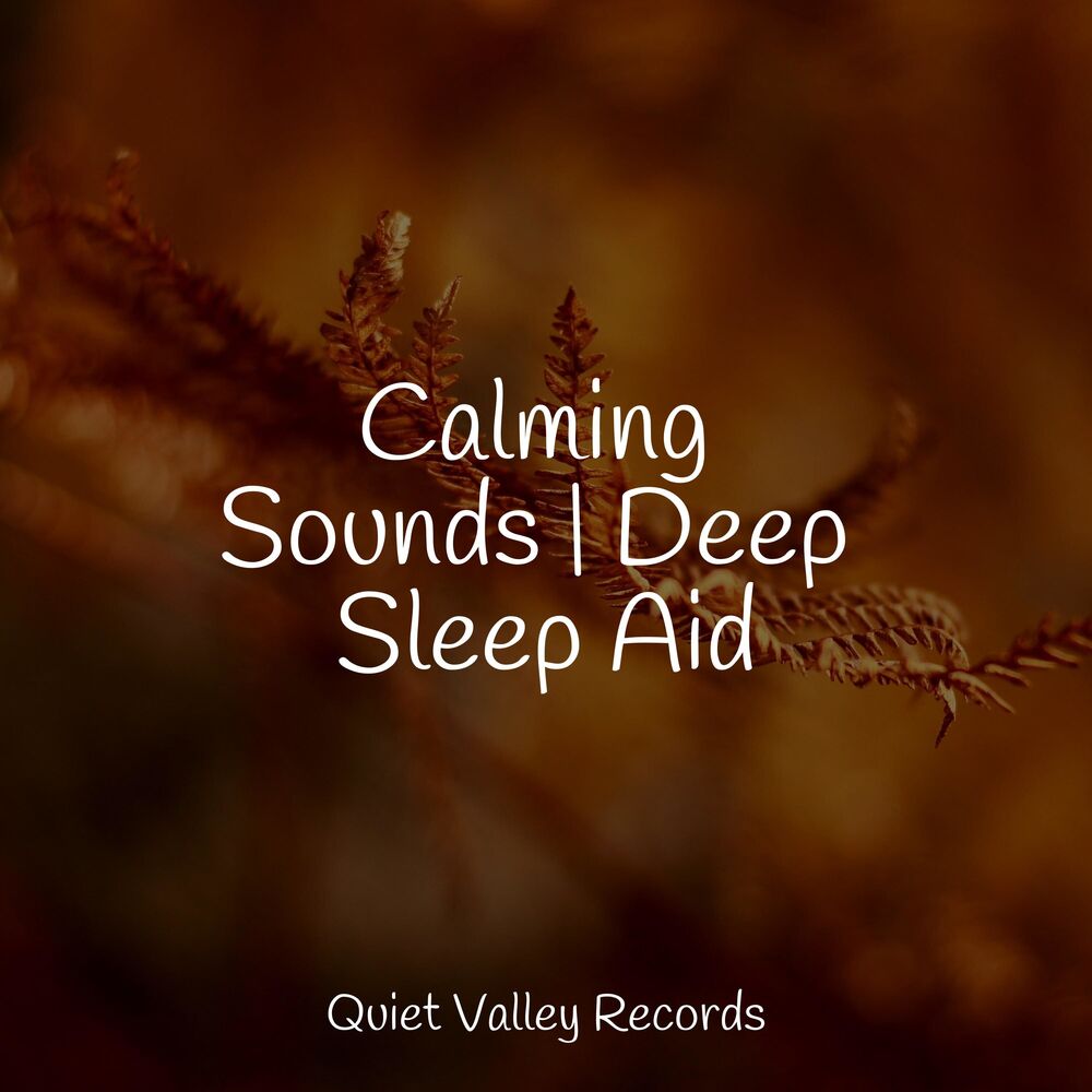 Picture of Calming Sounds | Deep Sleep Aid