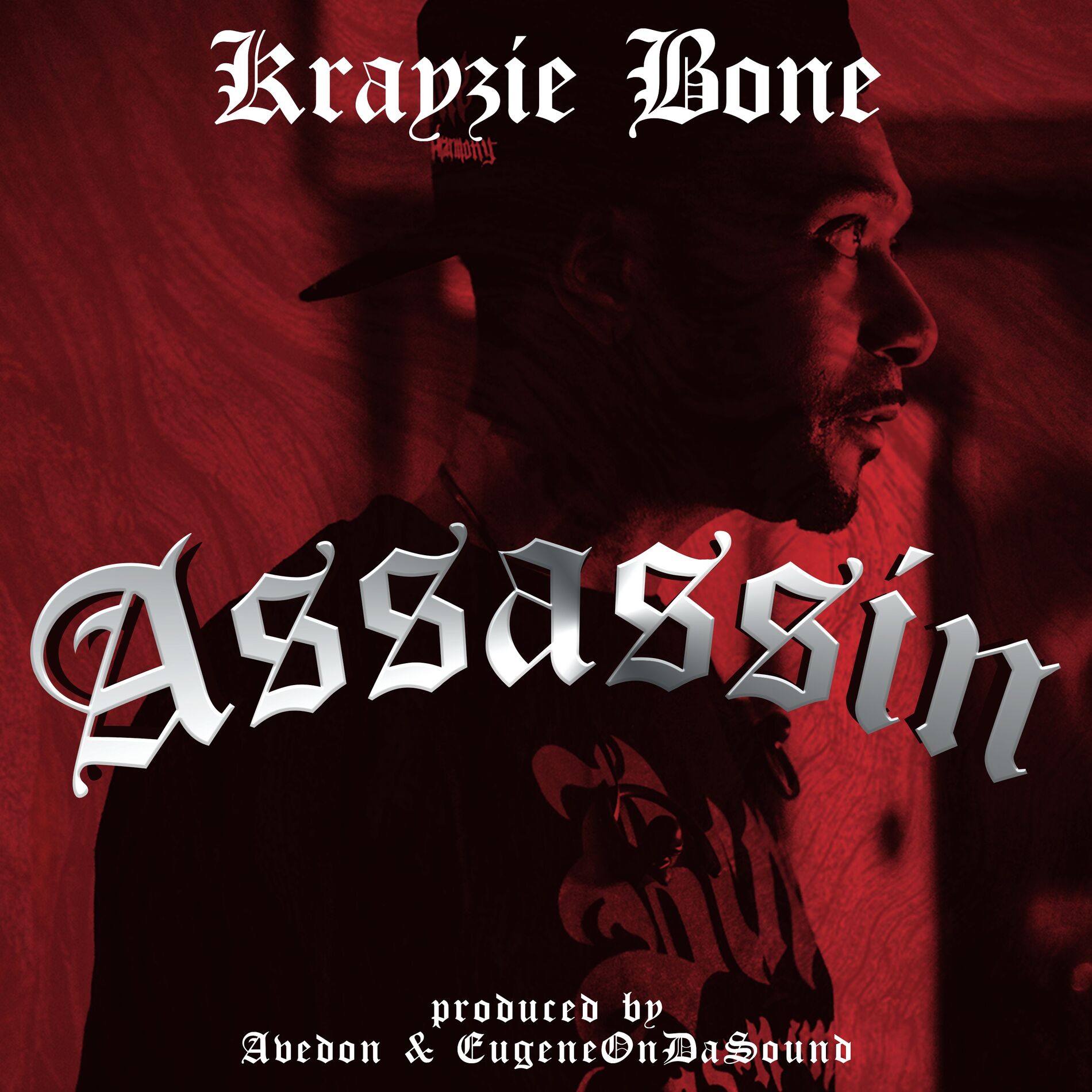 Album cover of Assassin