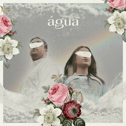 Cover of Água