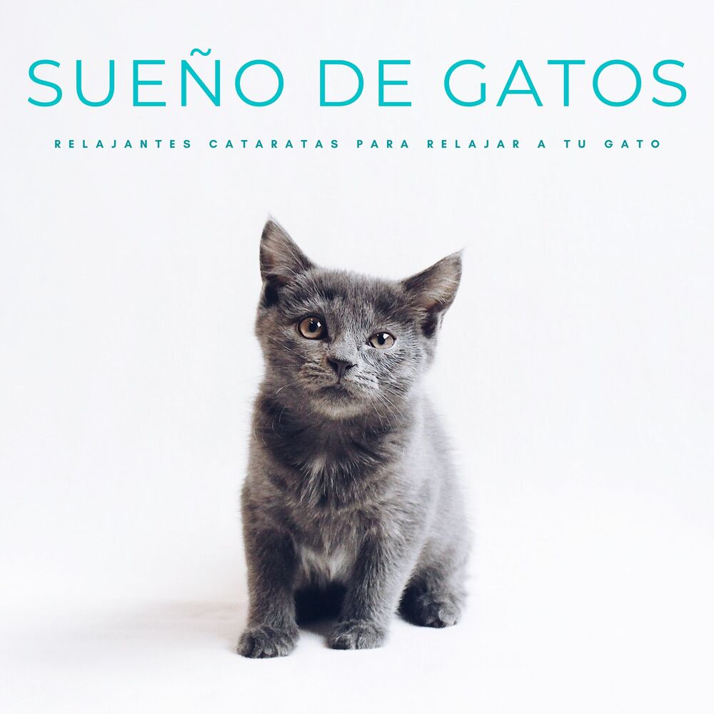 Picture of Sueño De Gatos: Relajantes Cataratas Para Relajar A Tu Gato