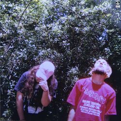 Cover of High Tide in the Snake's Nest