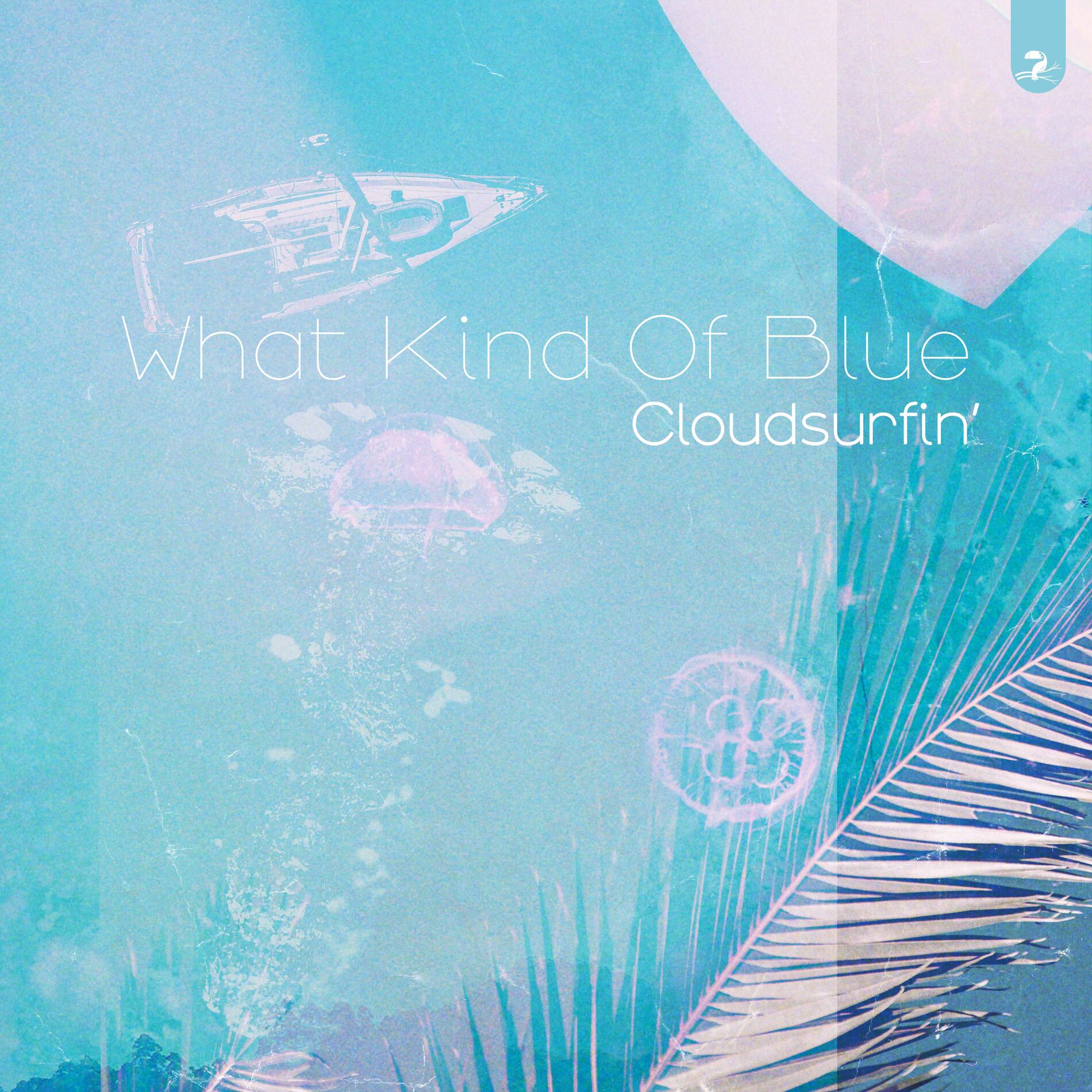 Album cover of What Kind of Blue