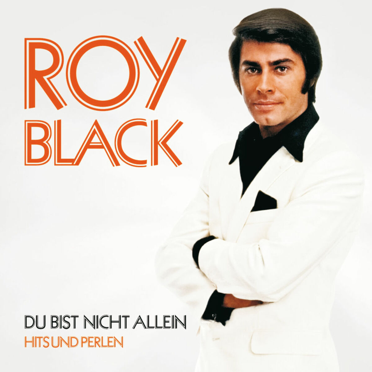Album cover of Du bist nicht allein - Hits und Perlen