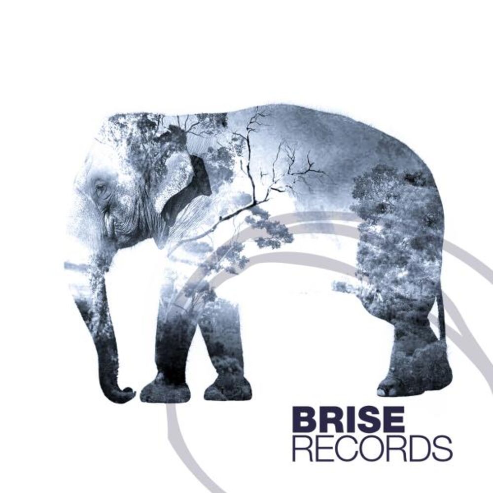 Picture of The Elephant E.P.
