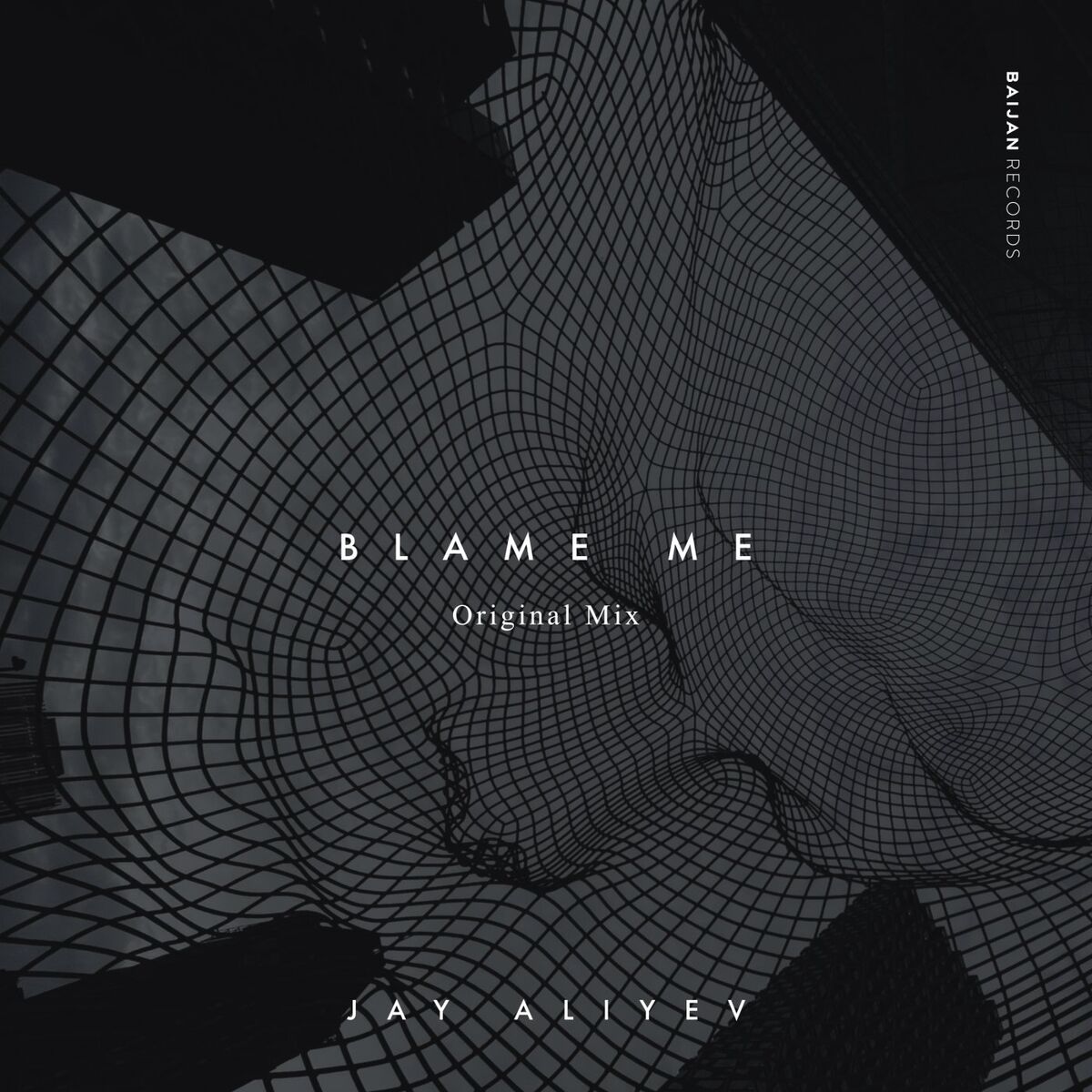 Album cover of Blame Me