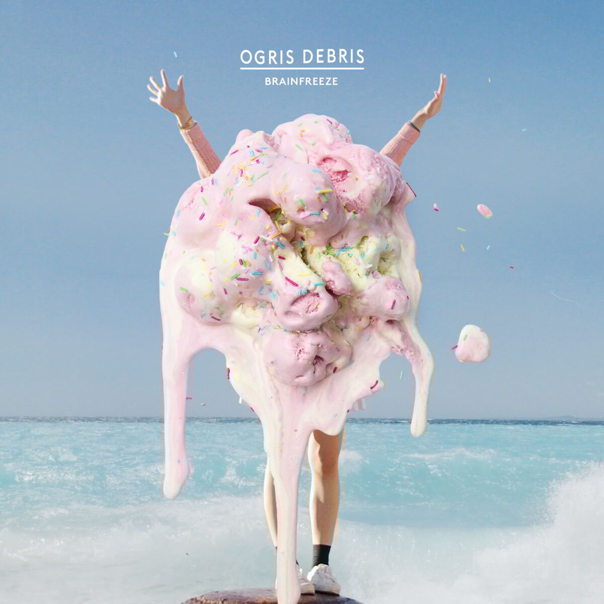 Album cover of Brainfreeze