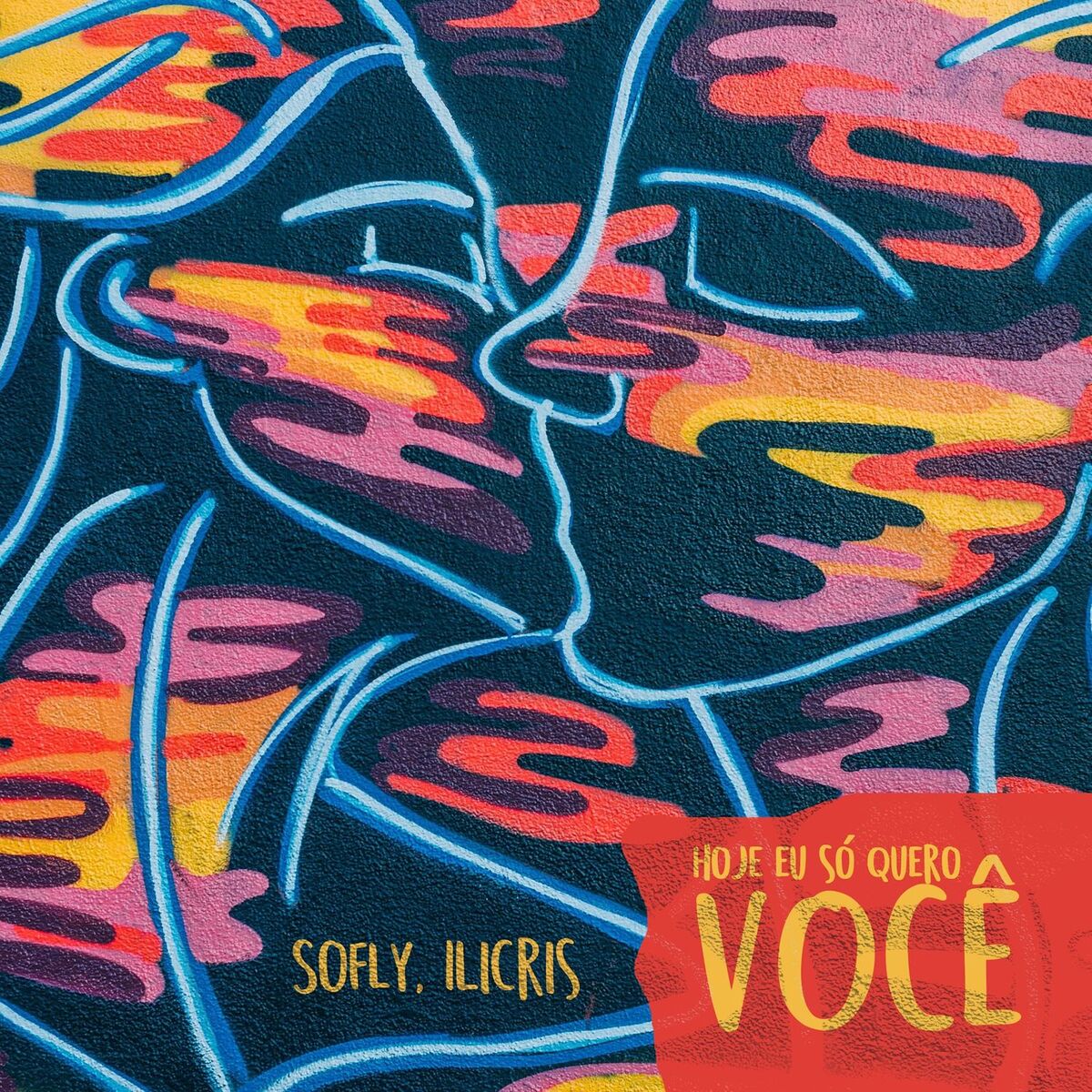 Album cover of Hoje Eu Só Quero Você