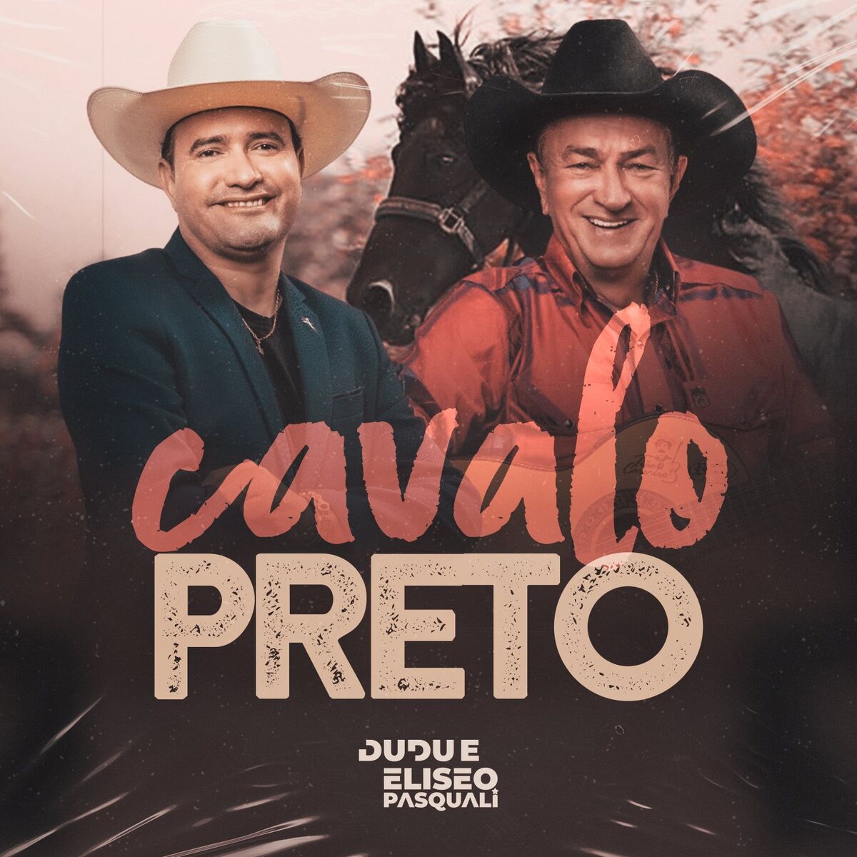 Album cover of Cavalo Preto