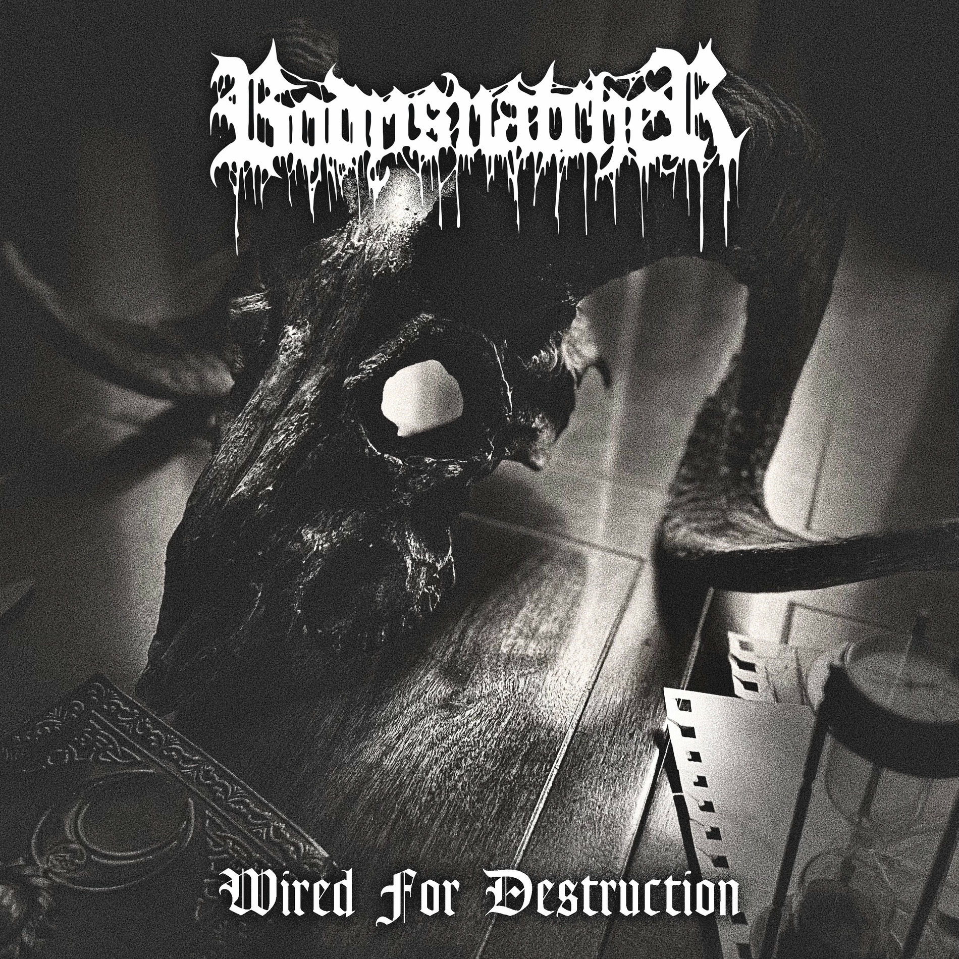 Album cover of Wired For Destruction