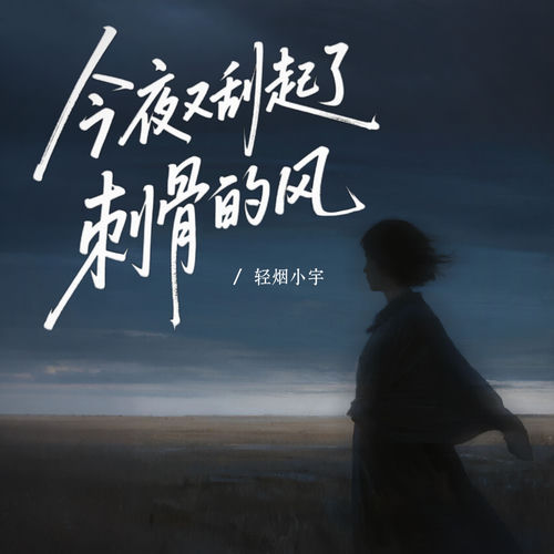 今夜又刮起了刺骨的风
