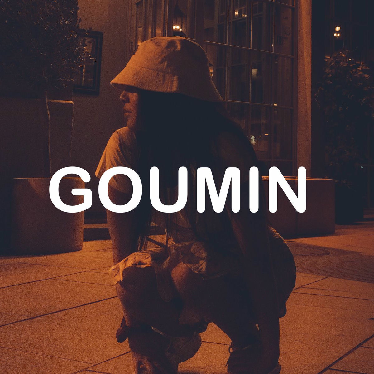 Album cover of GOUMIN