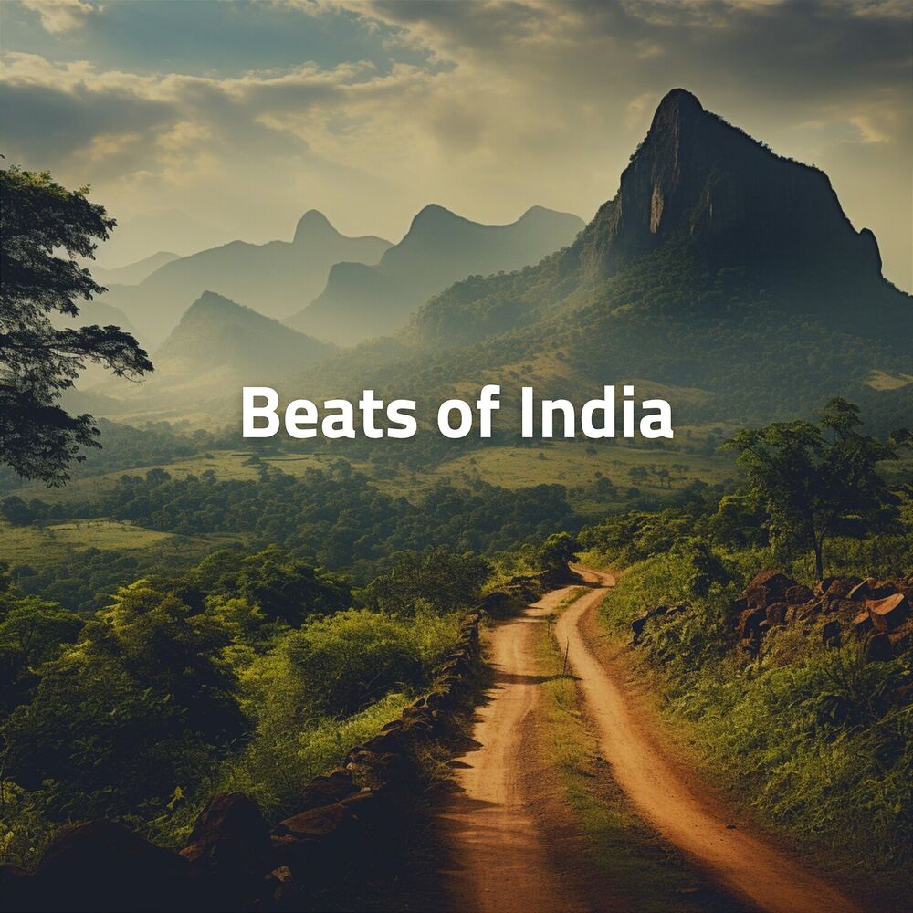 Picture of Beats of India