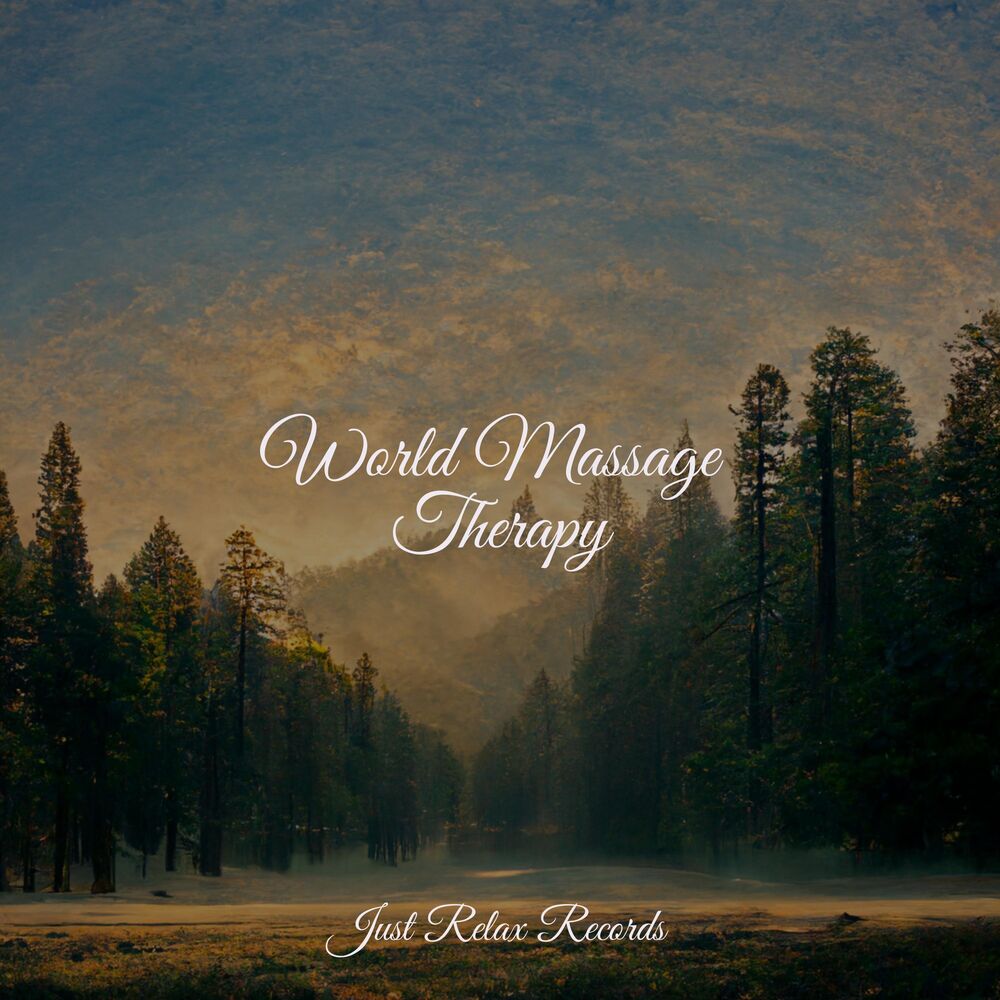 Picture of World Massage Therapy