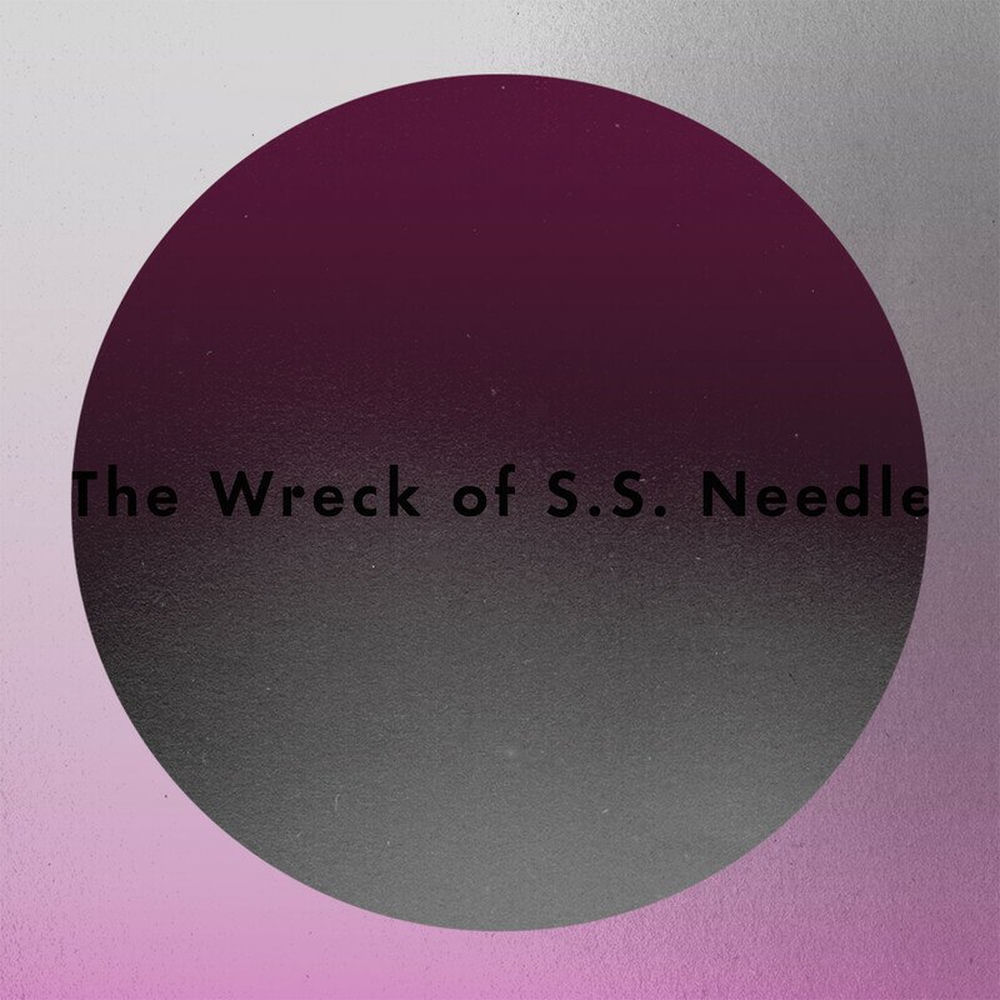 The Wreck of S.S. Needle cover