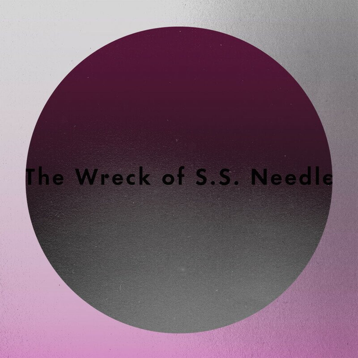 Album cover of The Wreck of S.S. Needle