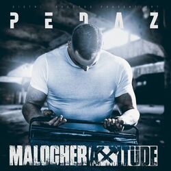 Cover of Malocherattitüde