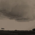 Stormgarden