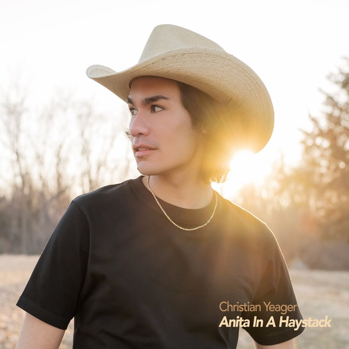 Album cover of Anita in a Haystack