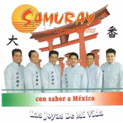 Cover of Las Joyas de Mi Vida