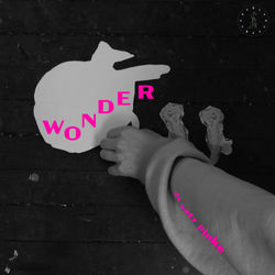 Cover of Wonder by undefined