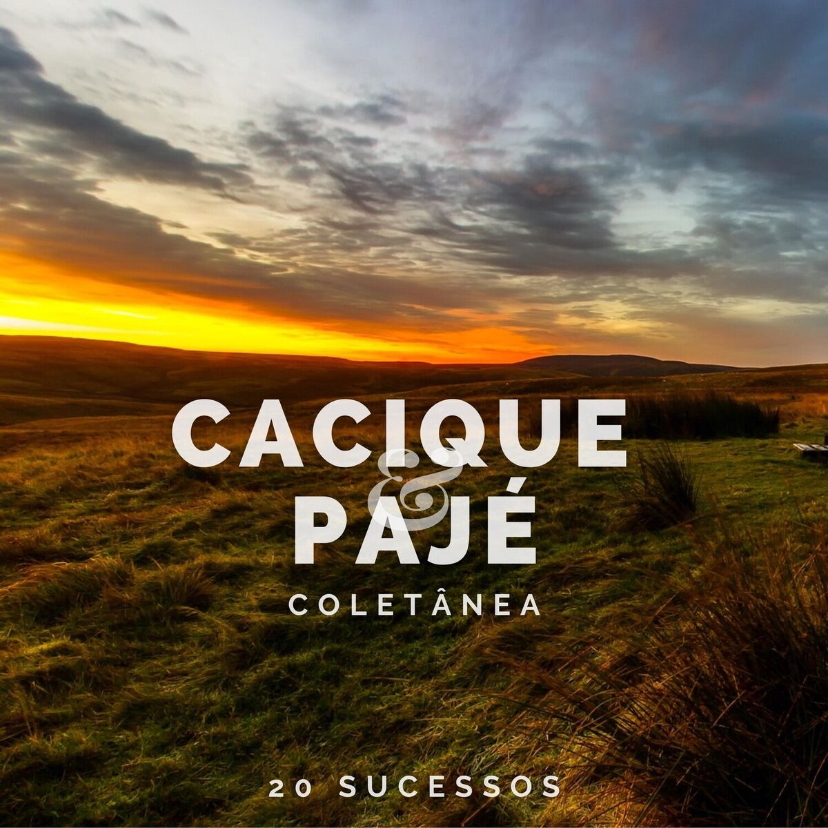 Album cover of Coletânea: 20 Sucessos