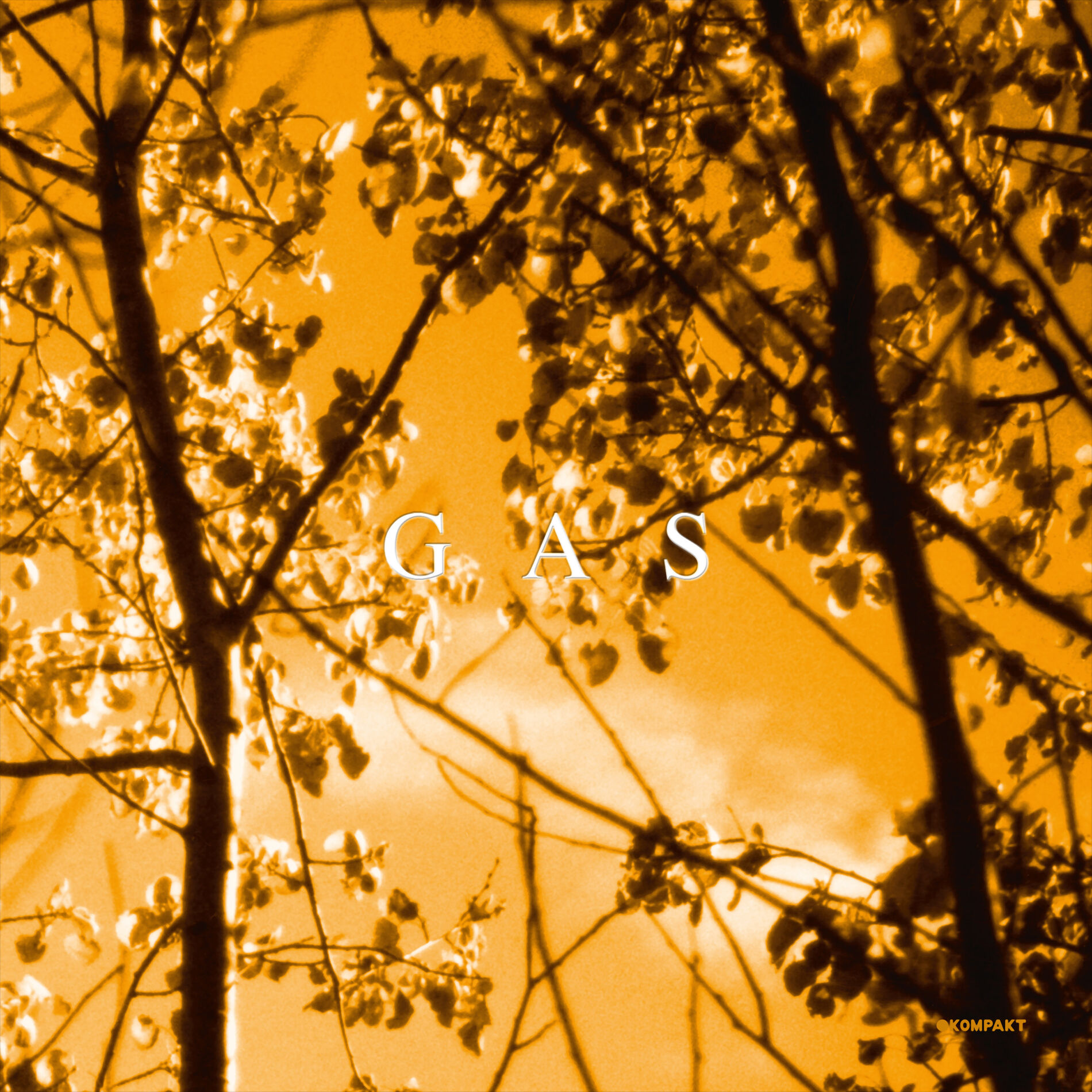 Album cover of Königsforst 1