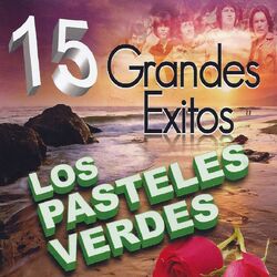 Cover of 15 Grandes Exitos