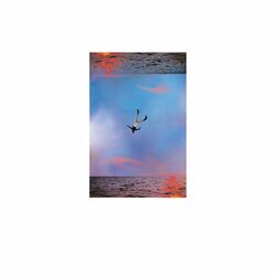 Cover of The Highs & The Lows