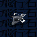 飛行石