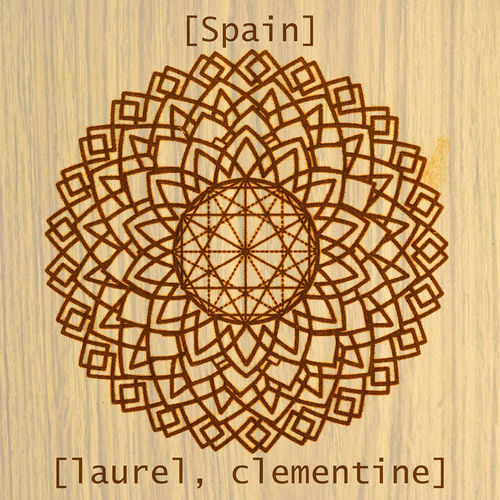 laurel, clementine sleeve