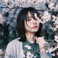 Spring Crush