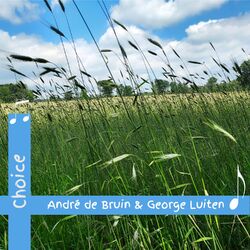 Cover of Choice