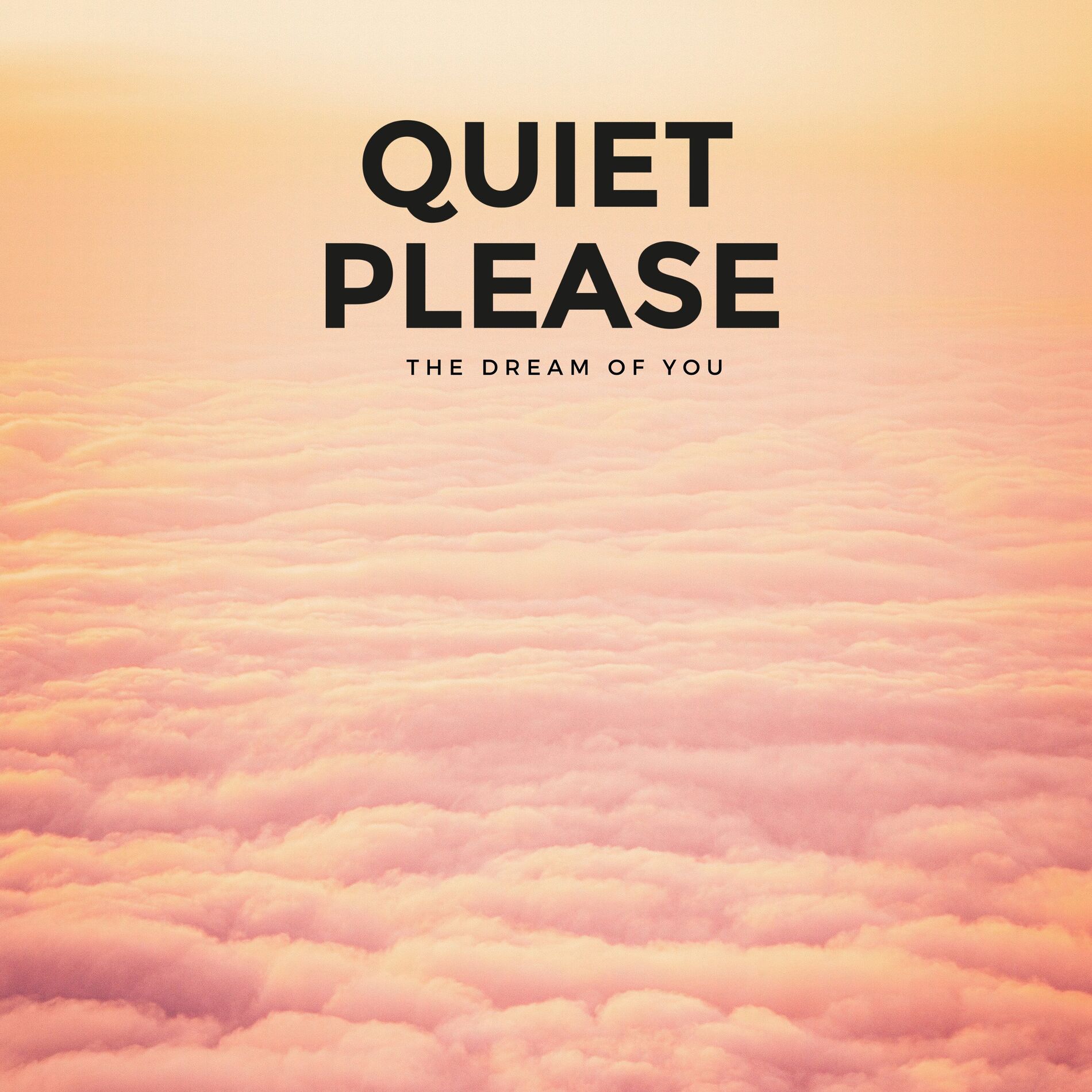 Album cover of The Dream of You