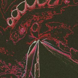 Cover of A Battered Boy...