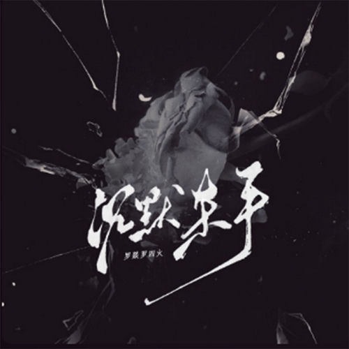 沉默杀手