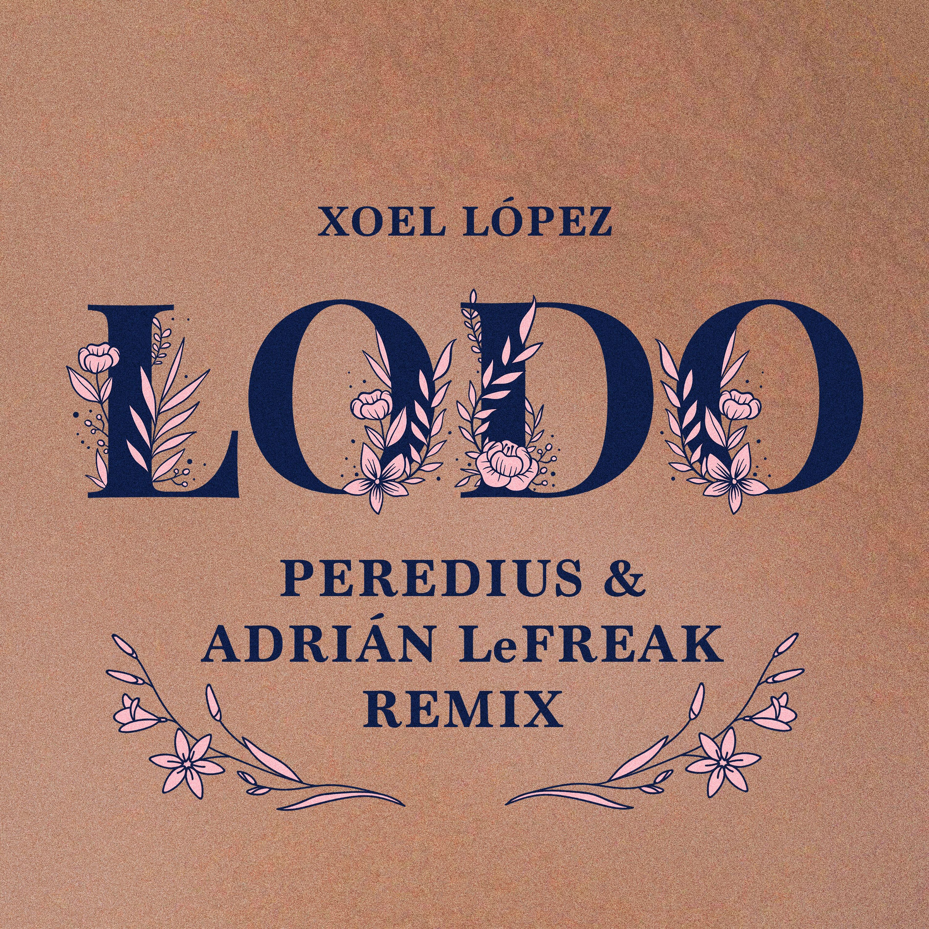 Album cover of Lodo