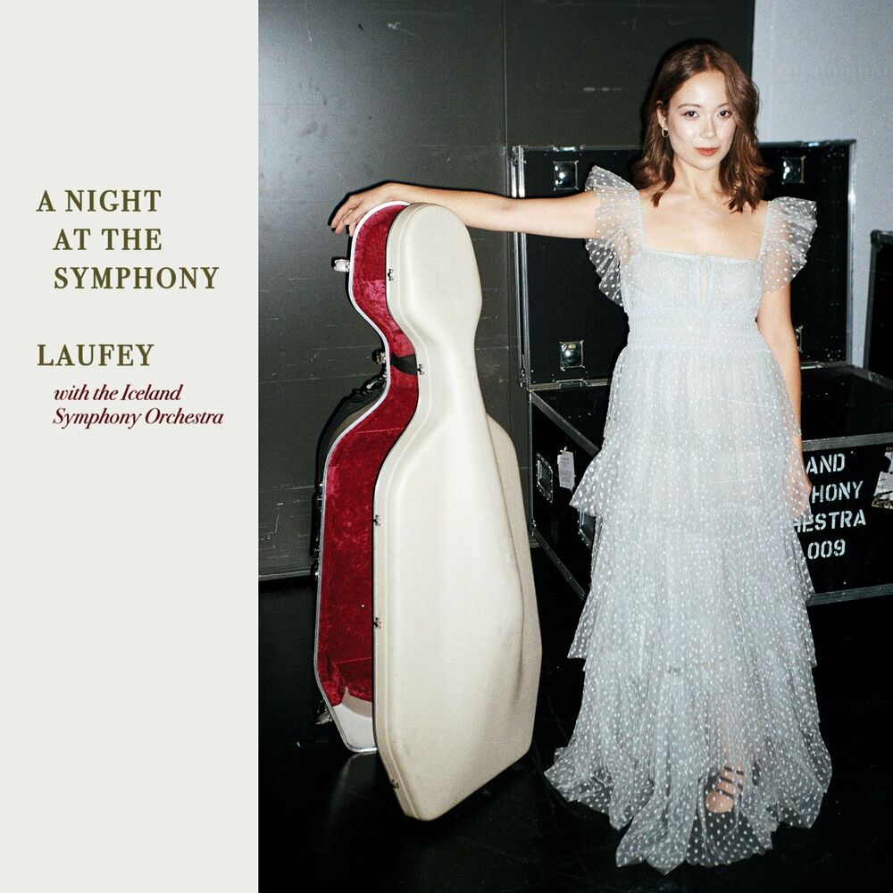 Picture of A Night At The Symphony