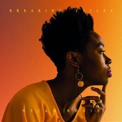 Cover of Breaking Cycles