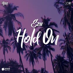 Cover of Hold On