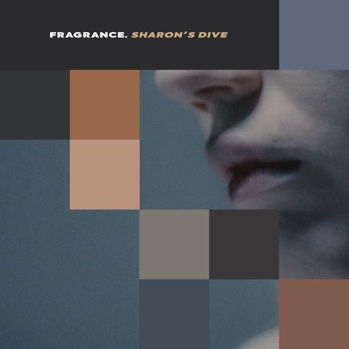 Sharon's Dive