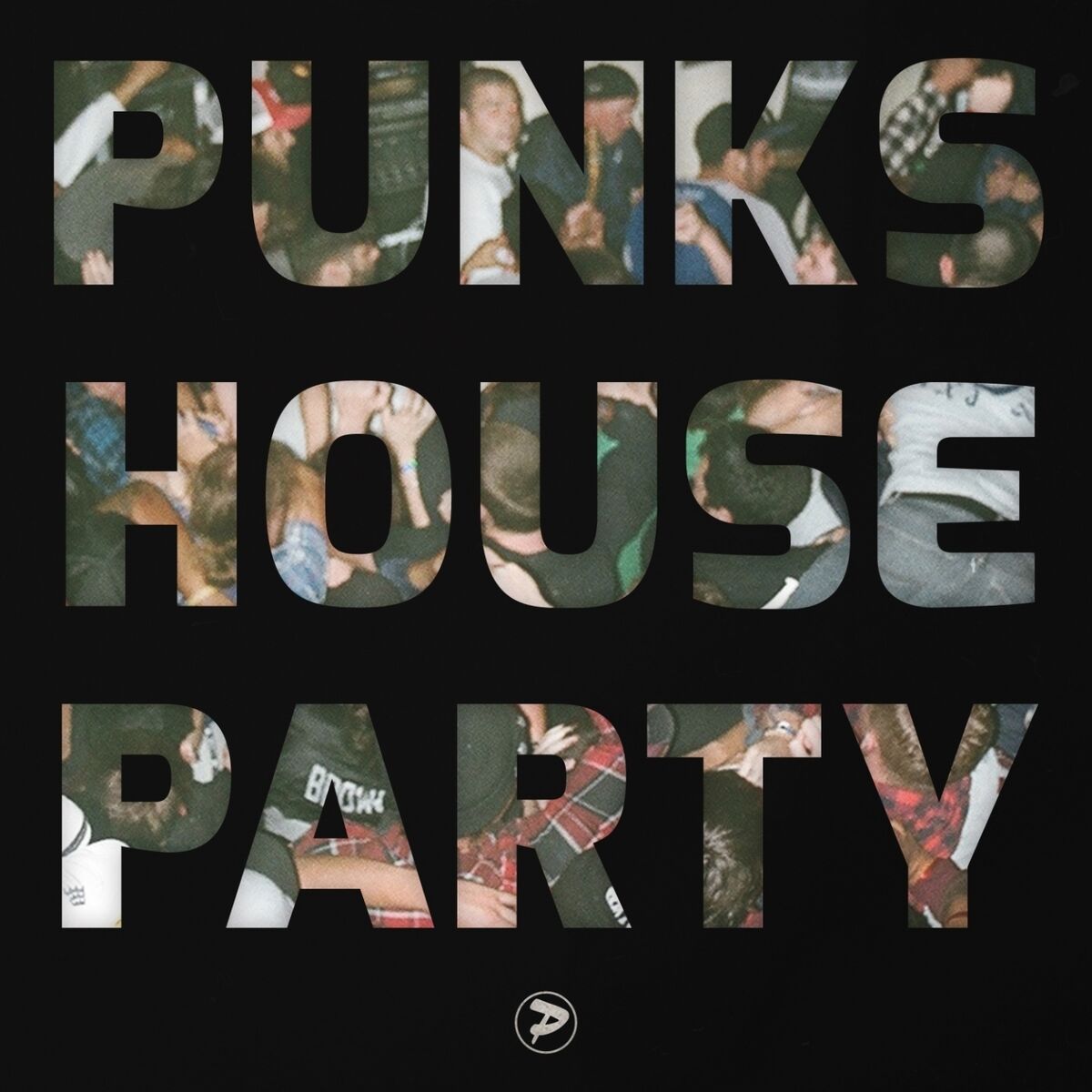 Album cover of Punks House Party