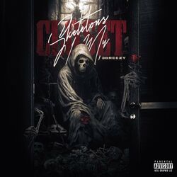 Cover of Skeletons in Your Closet