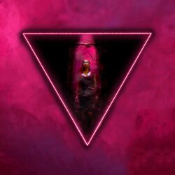 Cover of Killers