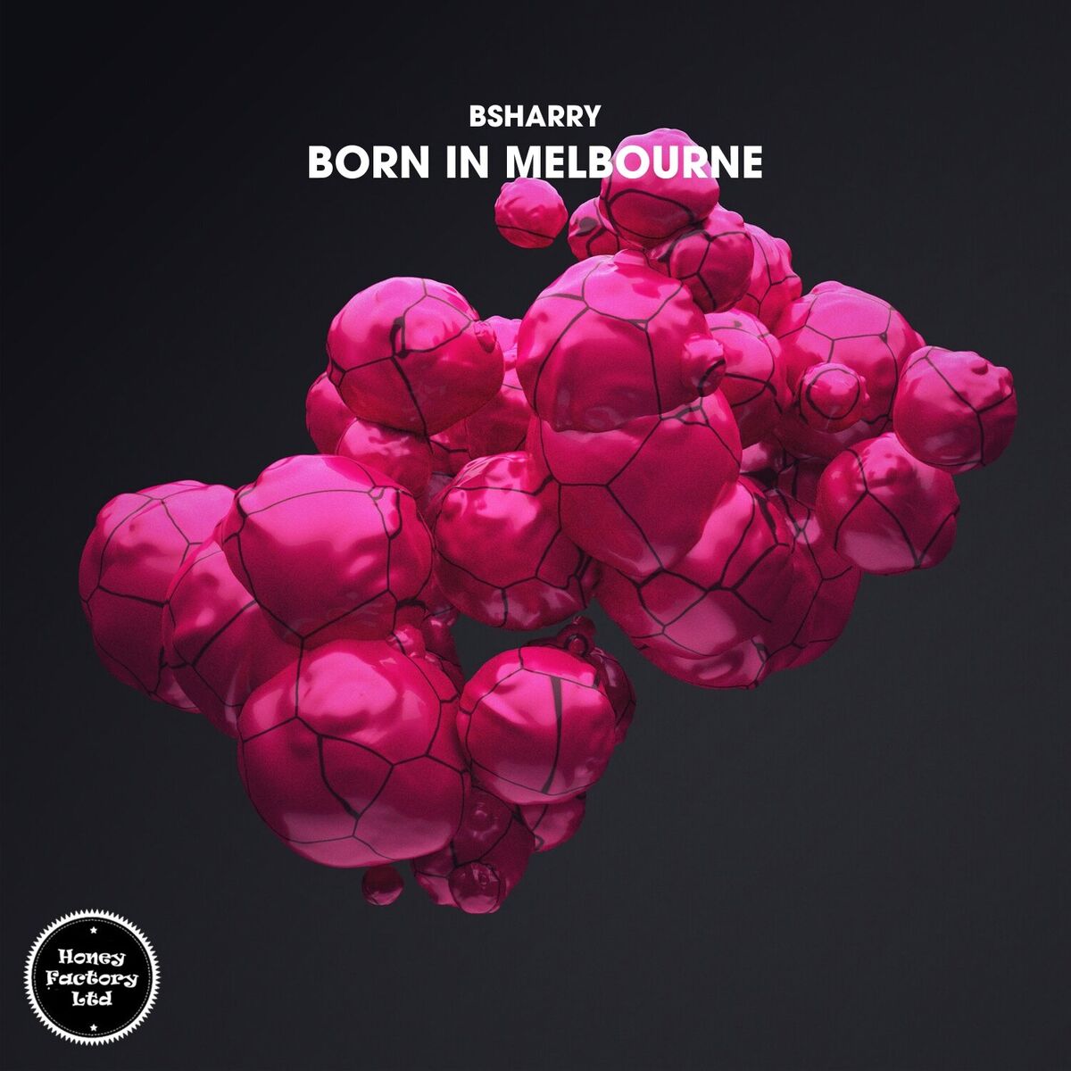 Album cover of Born in Melbourne