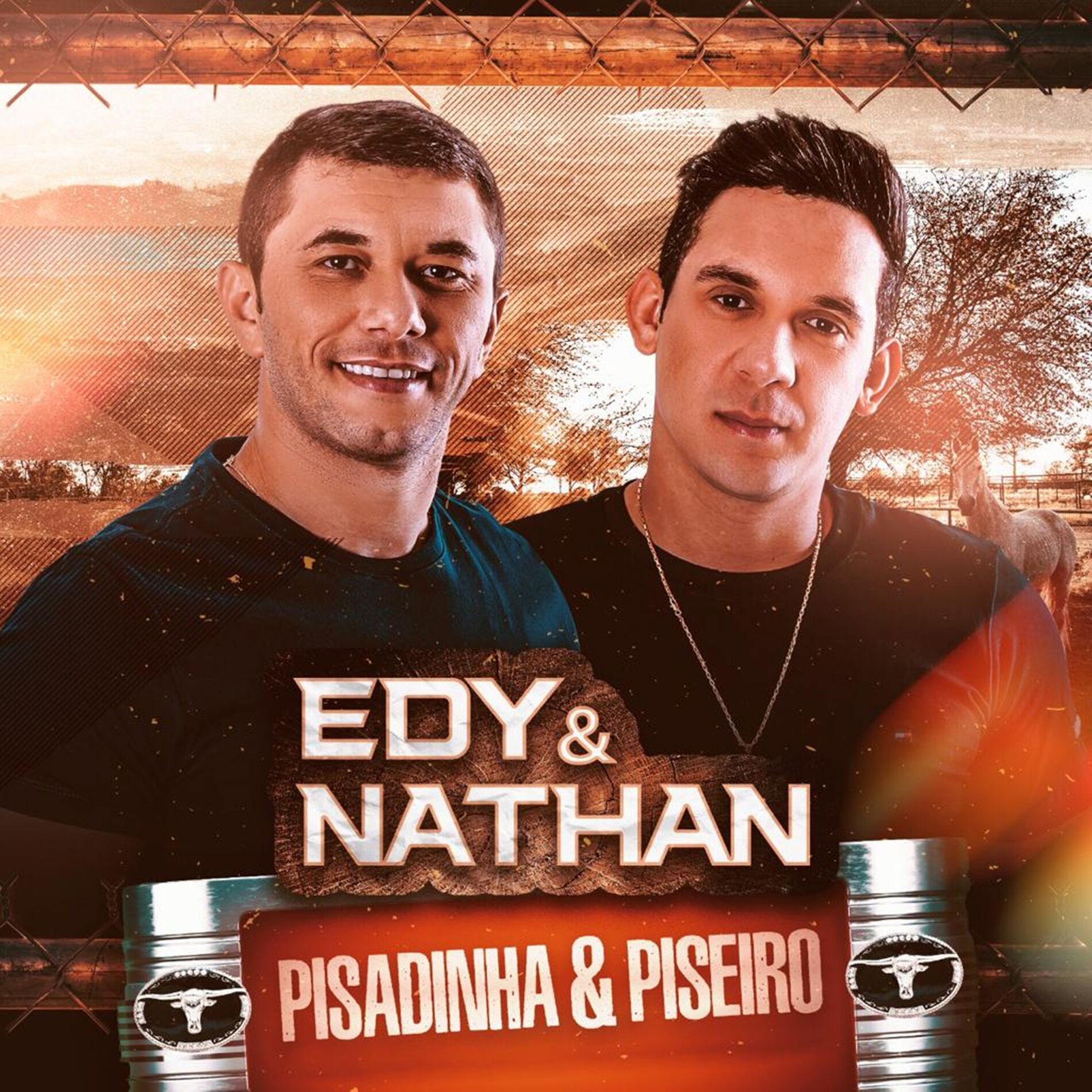 Album cover of Pisadinha & Piseiro
