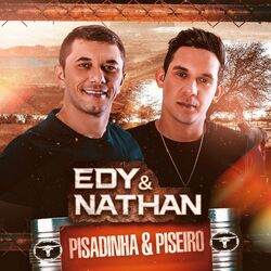 Cover of Pisadinha & Piseiro