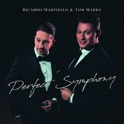 Cover of Perfect Symphony
